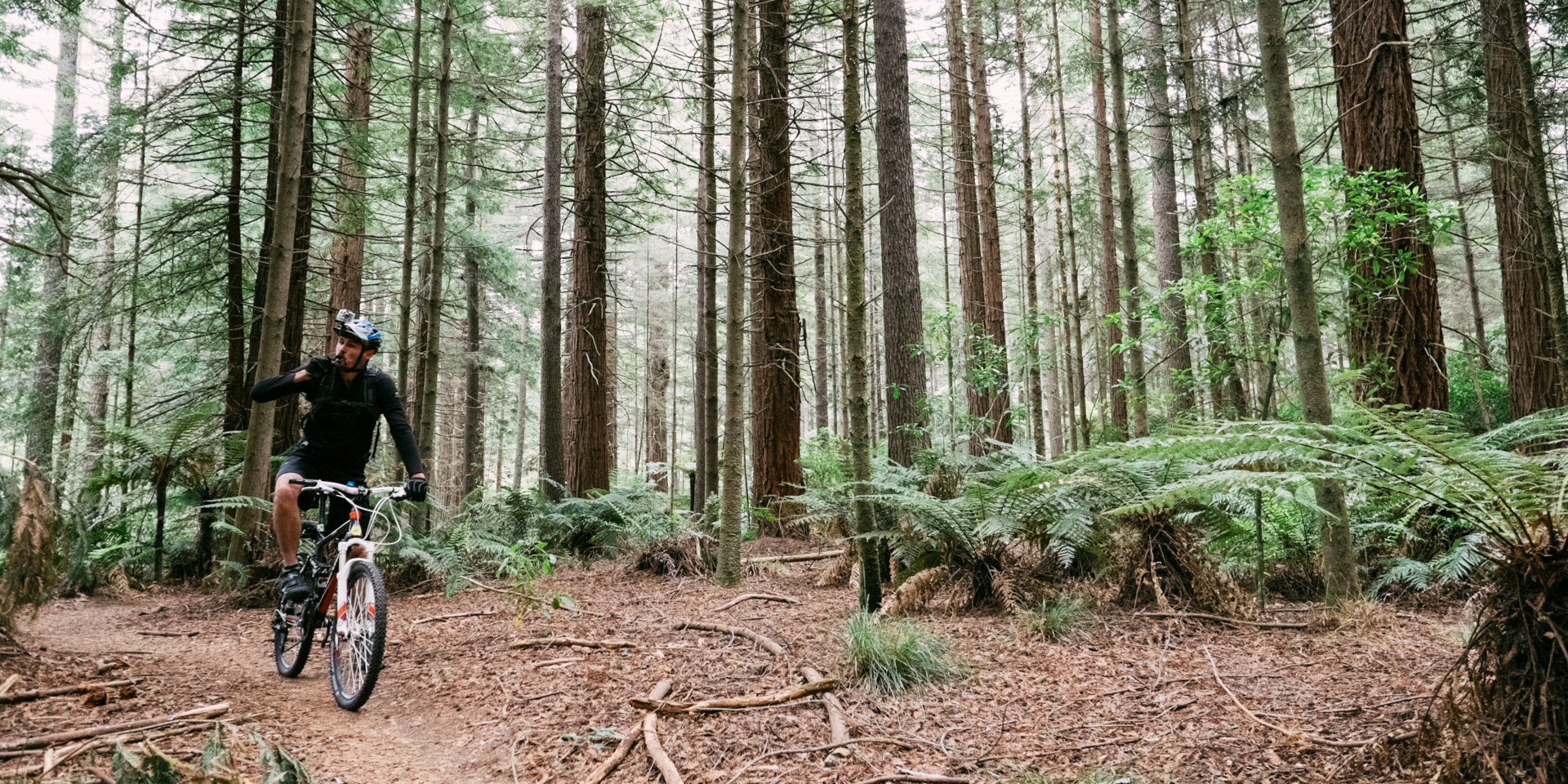 Mountain Biking in The Redwoods, Rotorua